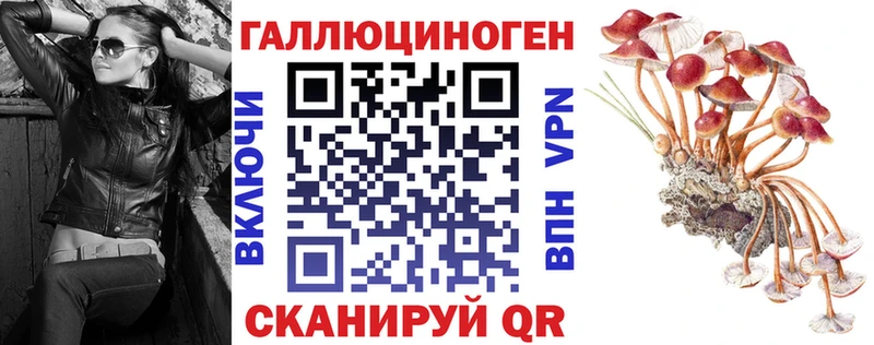 Купить  Азнакаево  Псилоцибиновые грибы GOLDEN TEACHER 